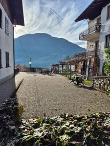 Chalet Altopiano del Sole