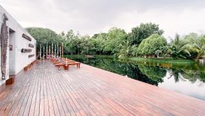Cocoon Bkk