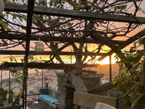 Casa das Flores Funchal - Your Charming Home with Local Secrets
