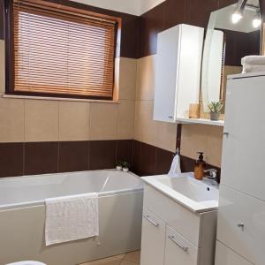 Forest View Studio