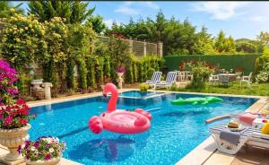 Private Swimming Pool Luxury Villa