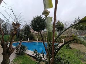 Private Swimming Pool Luxury Villa