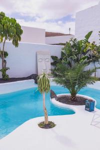 Villa Guajara Piscina Climatiz Jacuzzi Villa 714