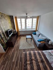 Cozy Apartment near City Centre