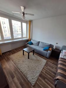Cozy Apartment near City Centre