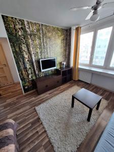 Cozy Apartment near City Centre