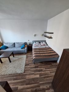 Cozy Apartment near City Centre