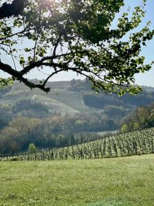 Tuscany Country House, Central Chianti, Pano Views