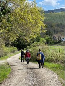 Tuscany Country House, Central Chianti, Pano Views