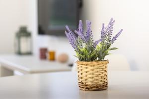 The Green Home - VUT6445AS
