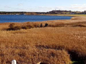 Ferienwohnung Bergholz