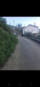 Yasemen house