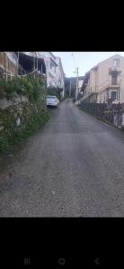 Yasemen house