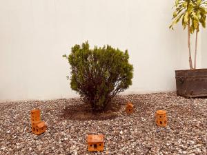 Pleasant House Soledad SLP