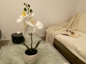 Apartman NR2
