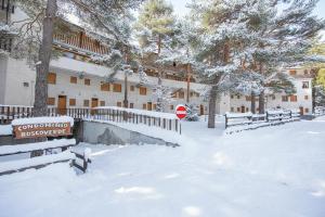 Il nido nella Pineta Central in Ski resort - Happy Rentals