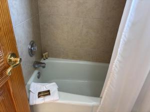 GF1BR2B-106