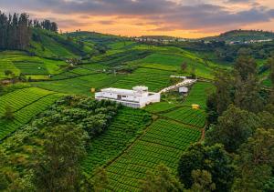 Grand Seyon Green Hills Ooty by VOYE HOMES