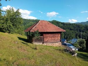 Pod Golijom Brvnara