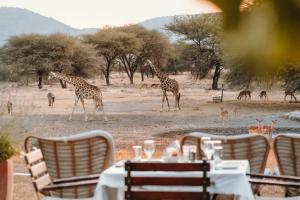 Gabus Safari Lodge