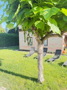 Apartmenthaus Claudia