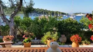 Viĺla elisabetta - Gaios