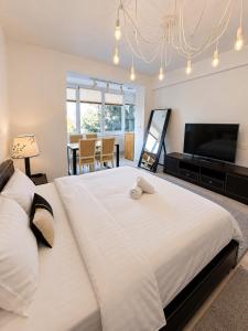 Cozy Studio - Centrul Civic