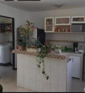 Casa Brisa