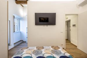 Blue Dream in Albano Laziale