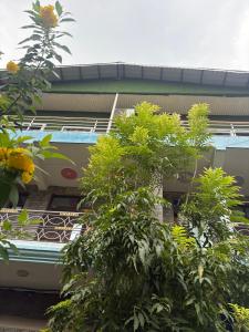 Blue Guest House