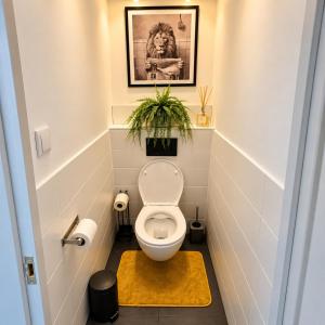 Buda Side Comfort