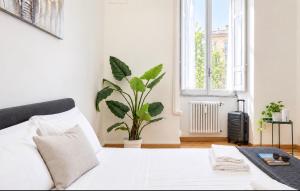 Mazzini Grand Residence 3 camere 8 posti letto