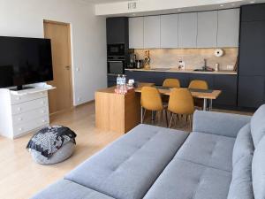Brand-new quiet flat near Kadriorg, Song Festival