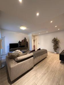 Vestri Golden Suite