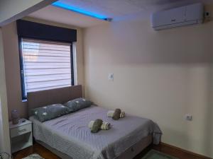 Teddy Apartman