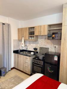 Executive Studio Apartment in South B, Nairobi