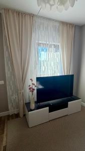 Signature Urban Studio with Garden & Private Garage