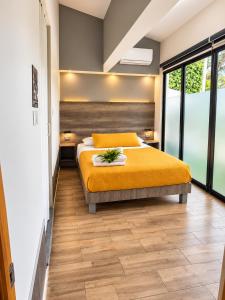 Ventura Suite