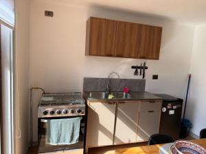 Patagonian Fjords Studio Apartment, Cerro Benítez