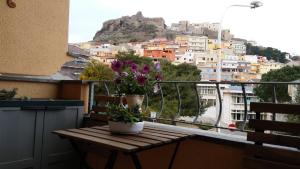 Cavalluccio Marino img18