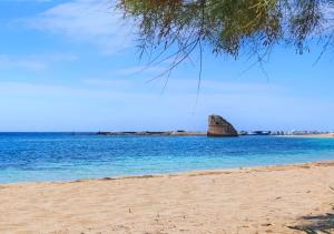 Sea Horizon - New Home Holiday