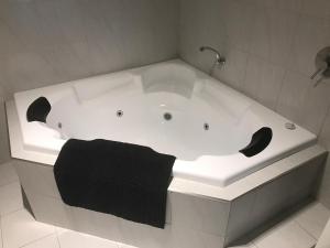 Pelicans Albany Middleton Beach