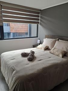 Moderno departamento Nuevo equipado en Puerto Varas
