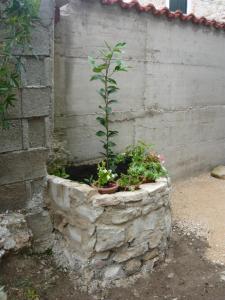 3 star pension Guest House Oleander Zlarin Croatia