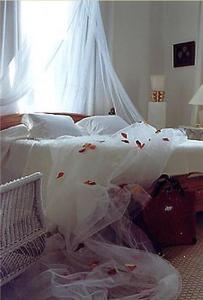 B&B / Chambres d'hotes Maison d'Hotes La Guerandiere : Chambre Double Supérieure