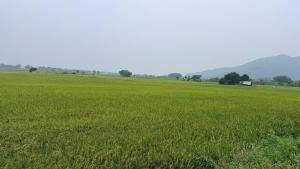 Đồng Trại Homestay