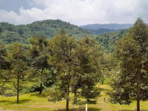 บ้านสวนอิง ชะอม