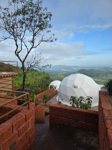 Cozy Dome- 2 with private pool