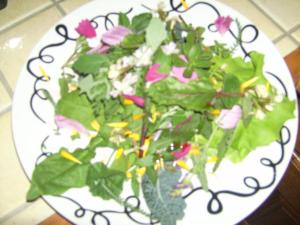 B&B / Chambres d'hotes Chez Louis chambres d'hotes a la ferme : photos des chambres
