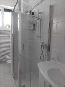 Private room and bathroom close to Piazzale Roma in Venice Mestre
